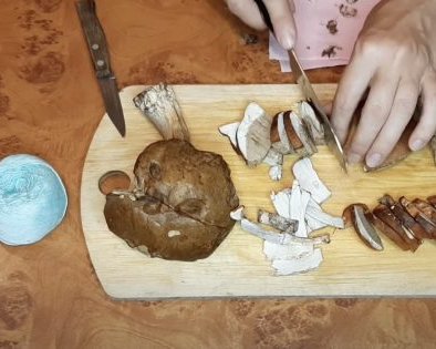 Как сушить грибы в домашних условиях