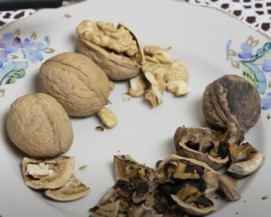 Как хранить грецкие орехи