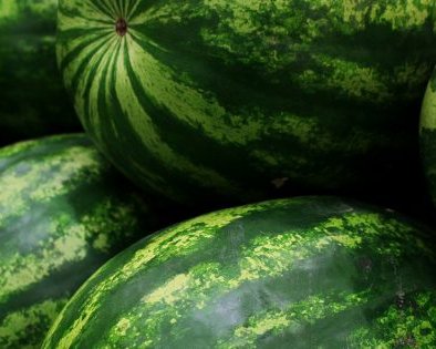 Как выбрать сладкий и спелый арбуз