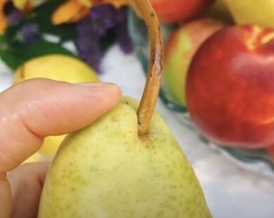 Как хранить груши, чтобы они долго не портились