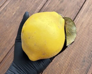 Как есть айву