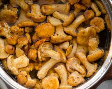 Как и сколько варить лисички