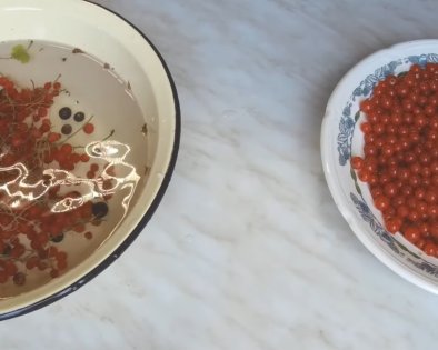 Как заморозить смородину на зиму