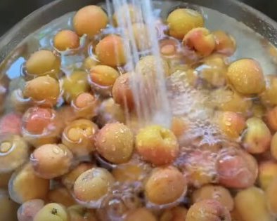 Как сушить абрикосы в домашних условиях