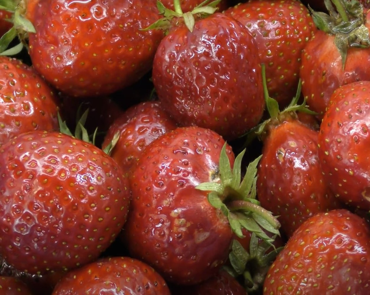 Как сушить клубнику: 5 простых способов