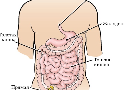 Индивидуальный инвестиционный счёт — простой способ сохранить деньги и вернуть налоги