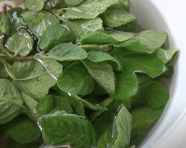 Как заморозить мяту