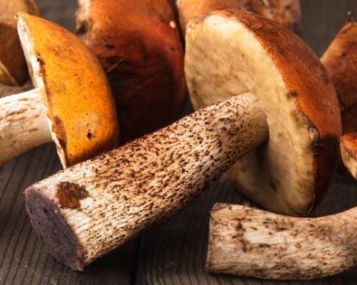 Как и сколько варить подосиновики