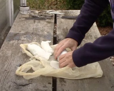 Как хранить свежие огурцы правильно