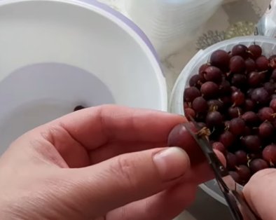 Как заморозить крыжовник на зиму