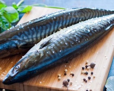 11 способов быстро и вкусно засолить скумбрию в домашних условиях