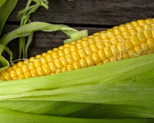 Как хранить кукурузу правильно