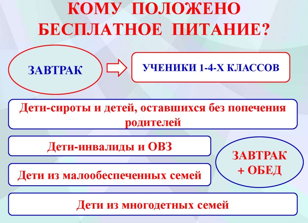 Бесплатное питание в школе: кому положено и какие документы нужны