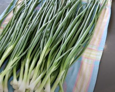 Как заморозить зелёный лук на зиму