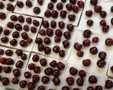 Как заморозить черешню на зиму